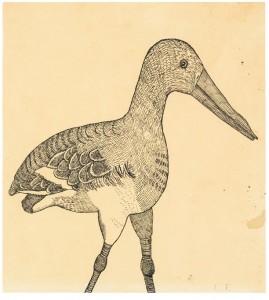 This study of a bird by Lucian Freud made £134,500.