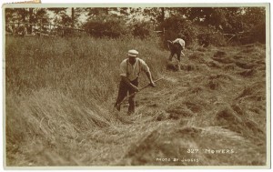 Picture postcards, mainly Irish, 1905-1920 (150-200).
