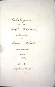 A catalogue of wild flowers collected by Lady Adare sold for 4,000 at hammer.