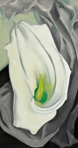 Georgia O'Keeffe - White Calla Lily.